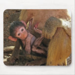 Baby baboon mousepad