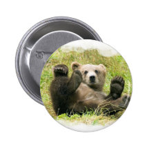 Baby Bear Round Button