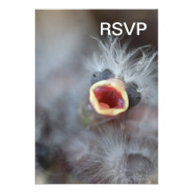 Baby Bird Personalized Invite