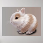 Baby Bunny Print