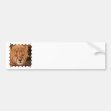 Baby Cheetah Bumper Sticker