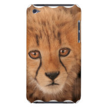 Baby Cheetah iTouch Case iPod Touch Covers