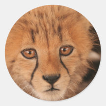 Baby Cheetah Stickers