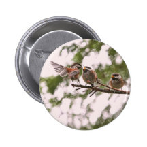 Baby Chickadees and Mother Bird Pins