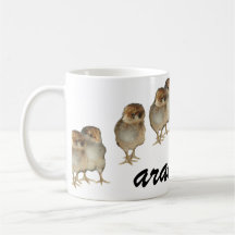Baby chicks araucana chickens ornithology birds mugs