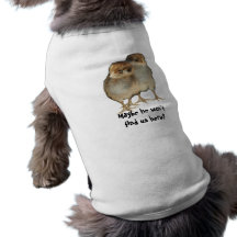 Baby chicks araucana chickens ornithology pet tee shirt