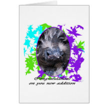 Baby Congratulations: Congratulations baby Card