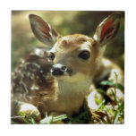 Baby Deer gifts tiles