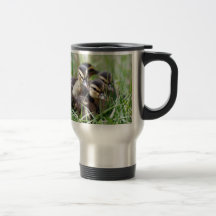Baby Ducks Mugs