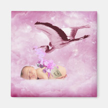 Baby girl pink clouds and stork magnet