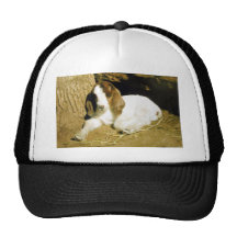 Baby Goat Hat