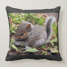 Baby Grey Squirrel... Pillow!
