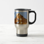Baby lions love mug