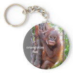 Baby Orangutan in Tree keychains