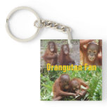 Baby Orangutans in Borneo key chains