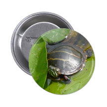 Baby Painted Turtle on Lilypad Items Pinback Buttons