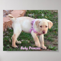 Baby Princess Posters