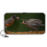 baby robin mp3 speaker