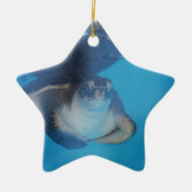 Baby Sea Turtle Ornament