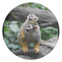 Baby Squirrel Monkey Plate