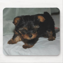 baby yorkie mouse pad