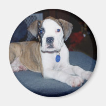 BabyChloe2 Refrigerator Magnet