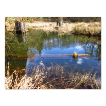 Back Beaver Pond Photographic Print