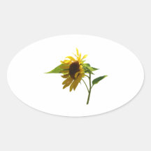 Backlit Sunflower Oval Stickers