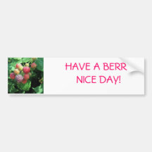 Backyard Berries Bumper Stickers