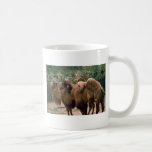 Bactrian Camels Tees and Gifts Coffee Mug