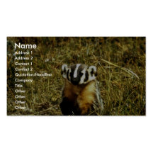 Badger Business Card