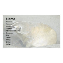 Badger Business Card Template