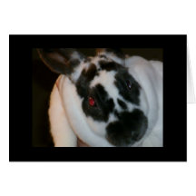 BAFFLED BUNNY-"40th" BIRTHDAY Cards