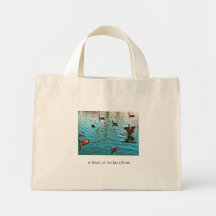 Bag for groceries, students, teachers or books