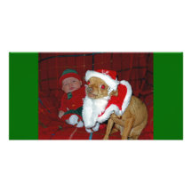 Bah Humbug Photo Cards