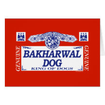 Bakharwal Dog Greeting Cards