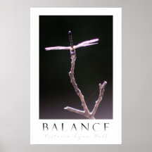 "Balance" Dragonfly Photography Poster