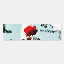 Balboa Park Roses Garden Bumper Stickers