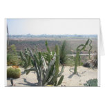 Balboa Park, San Diego Cards