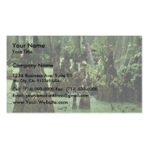 Bald cypress knees rising from swamp water business card