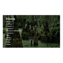 Bald cypress knees rising from swamp water business card template