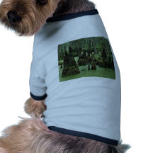 Bald cypress knees rising from swamp water pet clothing