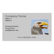 Bald Eagle Business Card