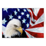 Bald Eagle "God Bless America" Greeting Card