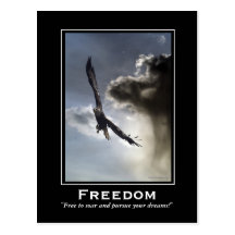 Bald Eagle Motivational Postcards