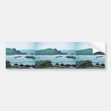 Bald Eagles Bumper Sticker