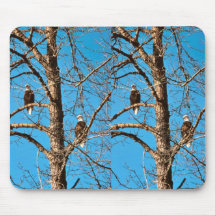 Bald Eagles Mousepad