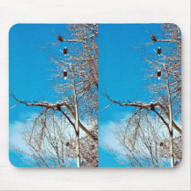 Bald Eagles Mousepads