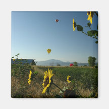 Balloon Festival Fridge Magnet