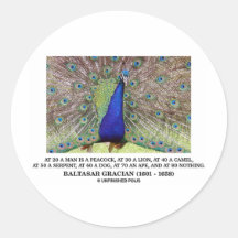 Baltasar Gracian At 20 A Man Is A Peacock Quote Sticker